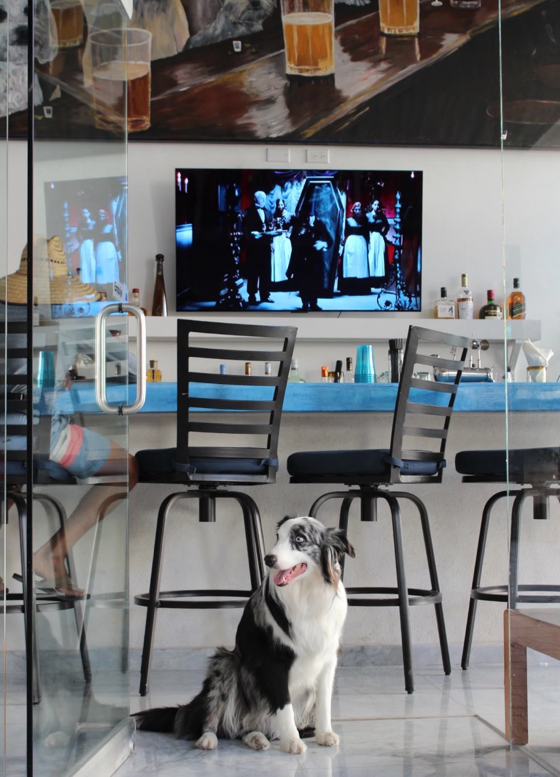 The house dog watching the game under the doggie mural
